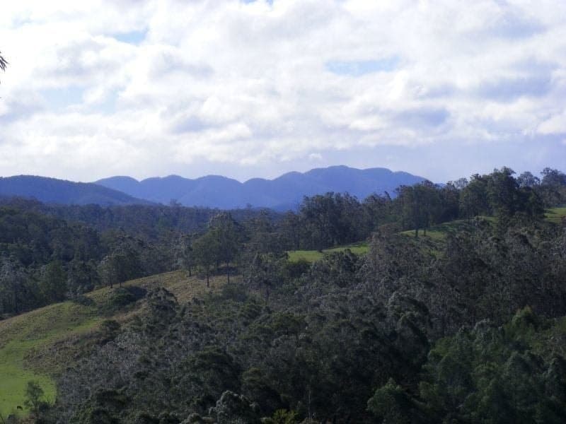 242 Stock Ridge Road Brogo NSW, Brogo - Thumbnail 3