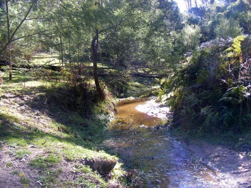 242 Stock Ridge Road Brogo NSW, Brogo - Thumbnail 4