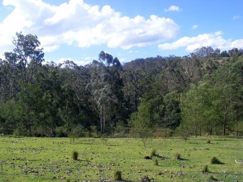 242 Stock Ridge Road Brogo NSW, Brogo - Thumbnail 6