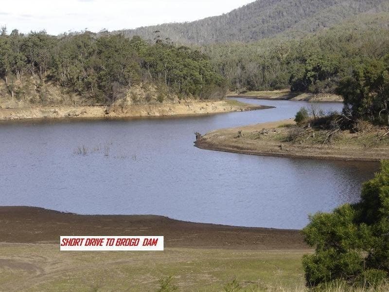 1642 Upper Brogo Road, Brogo, Brogo - Image 1