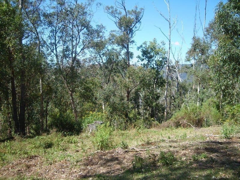 1642 Upper Brogo Road, Brogo, Brogo - Thumbnail 2