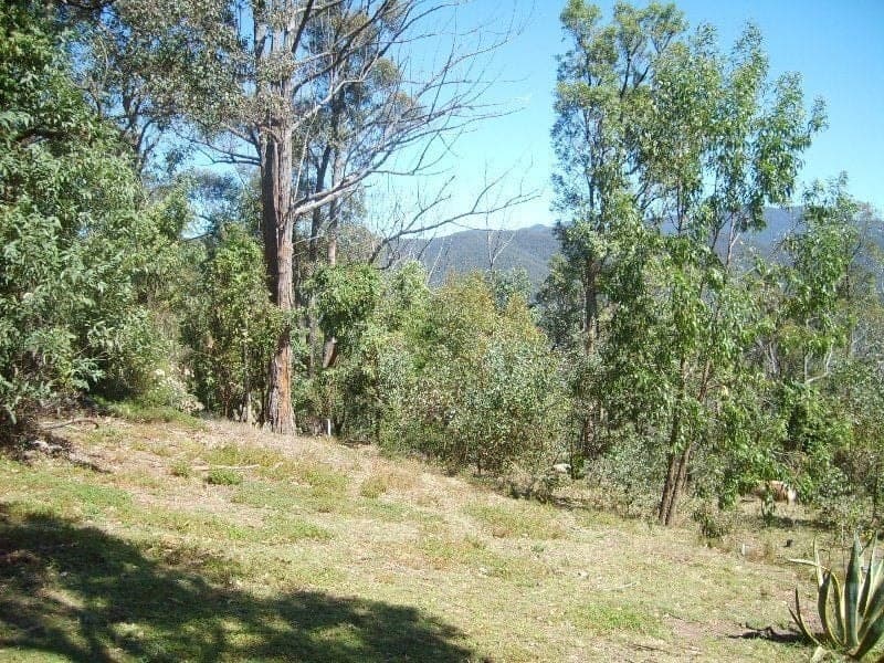 1642 Upper Brogo Road, Brogo, Brogo - Thumbnail 3