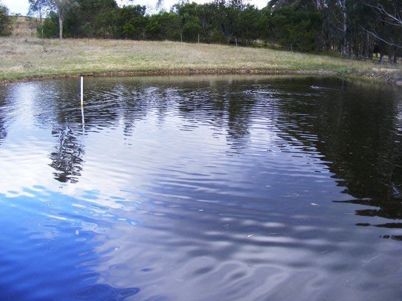 525 Candelo Wolumla Road Wolumla NSW, Wolumla - Image 1