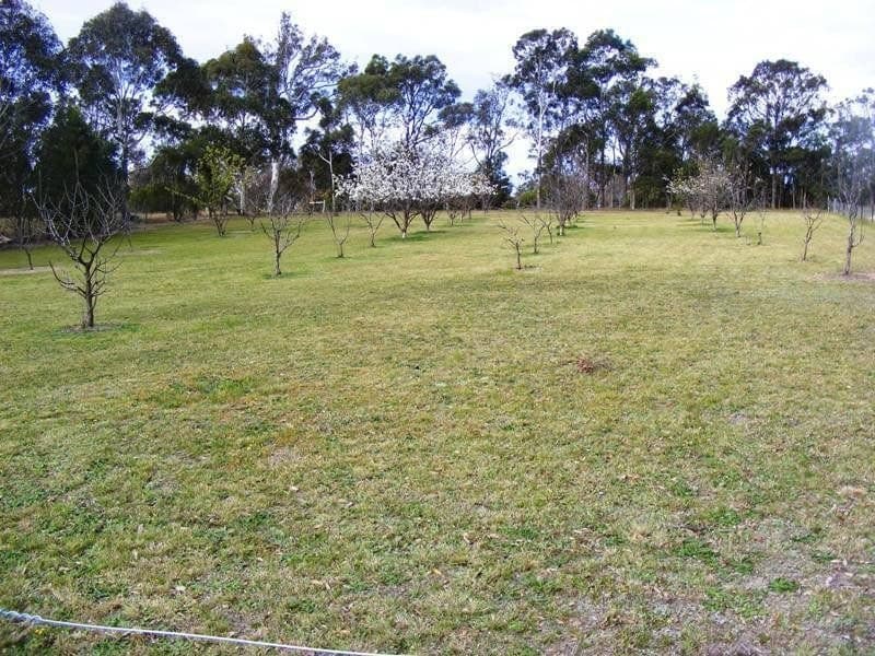 525 Candelo Wolumla Road Wolumla NSW, Wolumla - Thumbnail 2