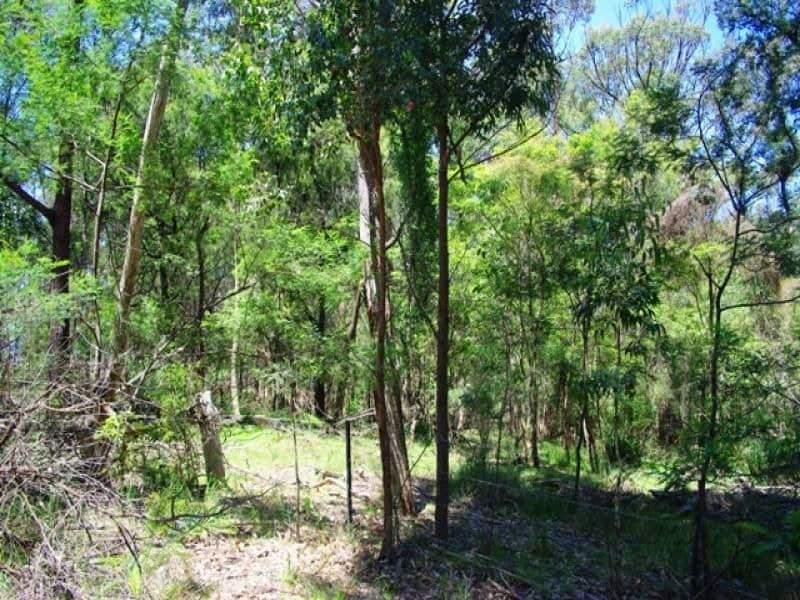 Lot 262 Nutleys Creek Road BERMAGUI NSW, Bermagui - Image 1