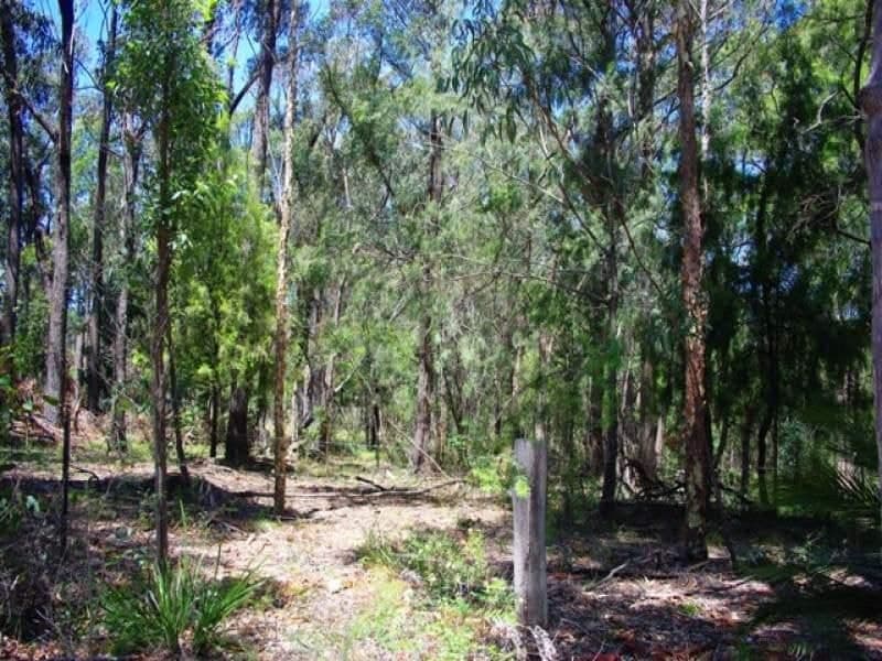 Lot 262 Nutleys Creek Road BERMAGUI NSW, Bermagui - Thumbnail 5