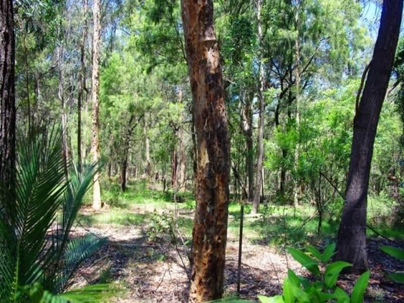 Lot 262 Nutleys Creek Road BERMAGUI NSW, Bermagui - Thumbnail 6
