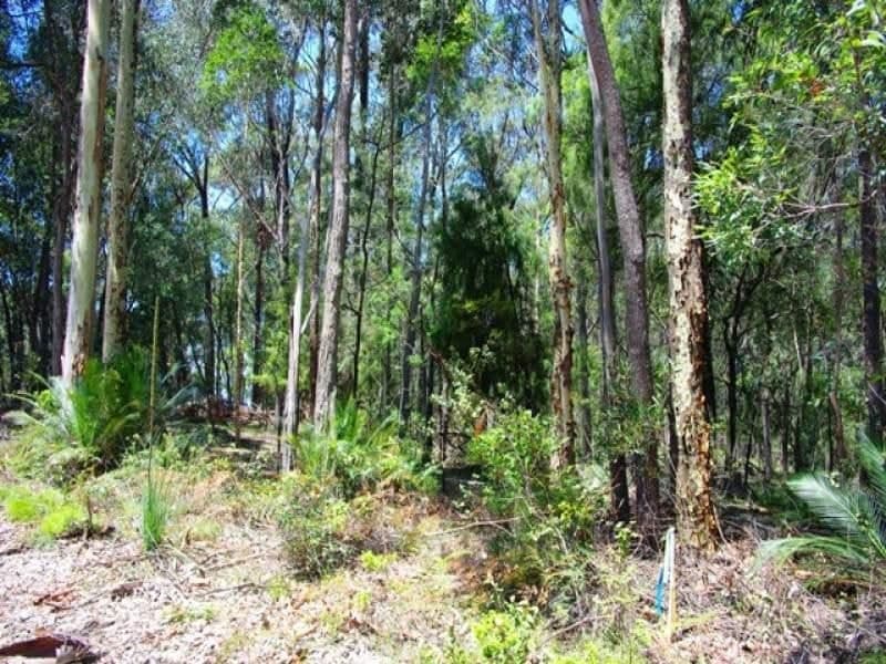 Lot 262 Nutleys Creek Road BERMAGUI NSW, Bermagui - Thumbnail 7