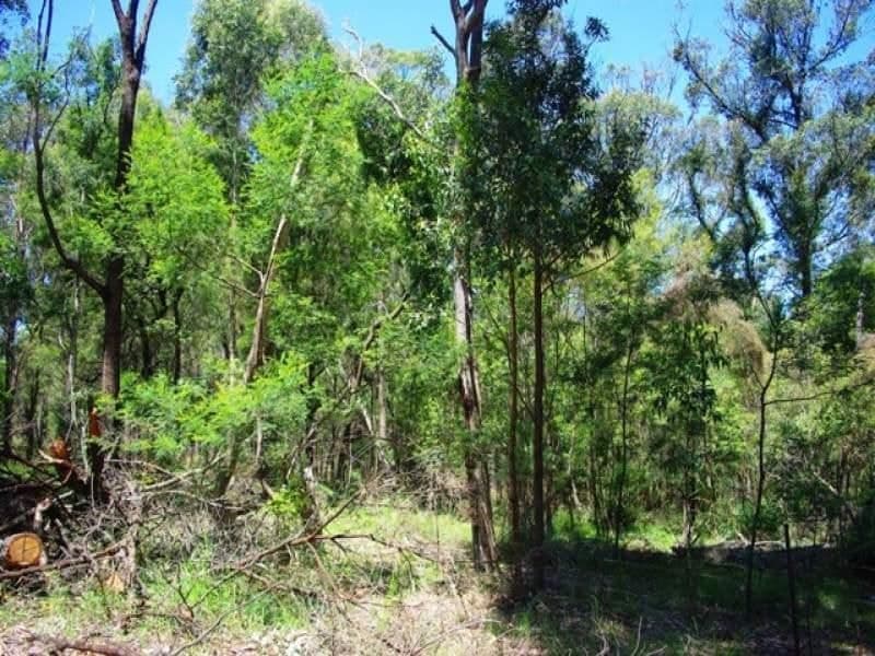 Lot 262 Nutleys Creek Road BERMAGUI NSW, Bermagui - Thumbnail 8