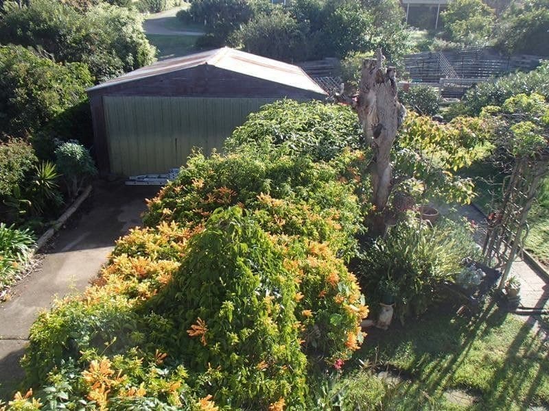 107 Pacific Way Tura Beach NSW, Tura Beach - Thumbnail 2