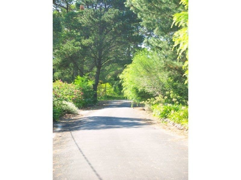 3819 Tathra-Bermagui Road CUTTAGEE NSW, Cuttagee - Thumbnail 4