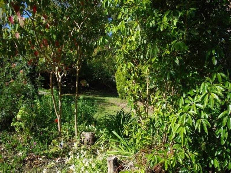 67 O'Connells Point Road WALLAGA LAKE NSW, Wallaga Lake - Thumbnail 5