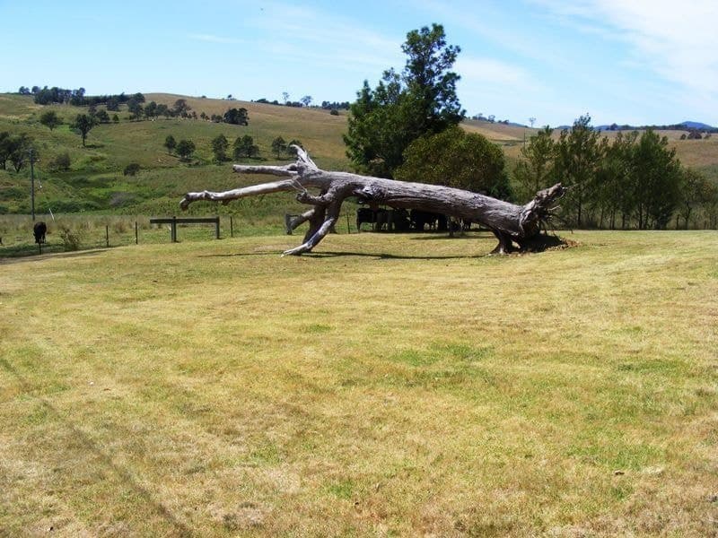 1444 Candelo-Wolumla Road Candelo NSW, Candelo - Thumbnail 4