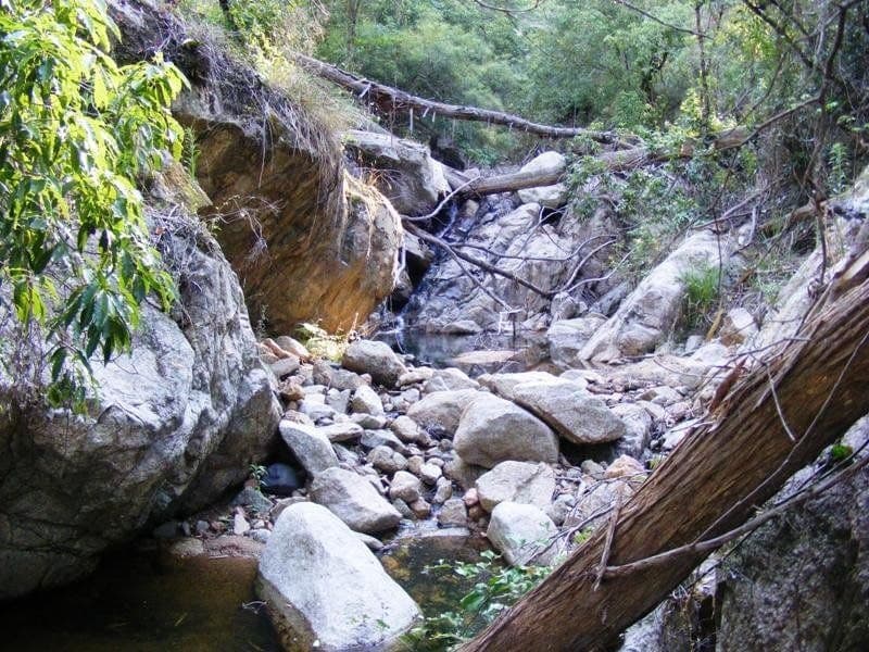 718 Filmer-Williams Road Mogilla NSW, Mogilla - Image 1