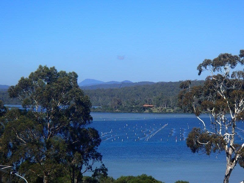 5 Tilba Place, Merimbula, Merimbula - Thumbnail 4