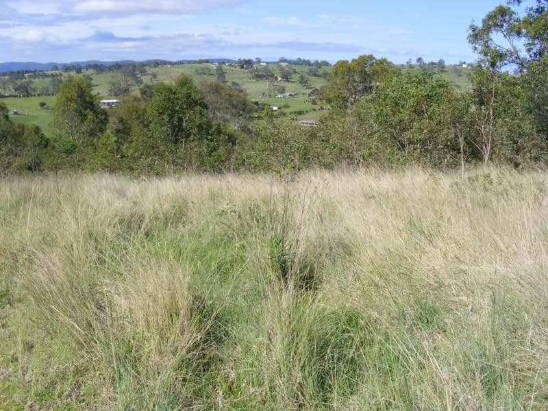 51 Wattle Place, Bega, Bega - Thumbnail 4
