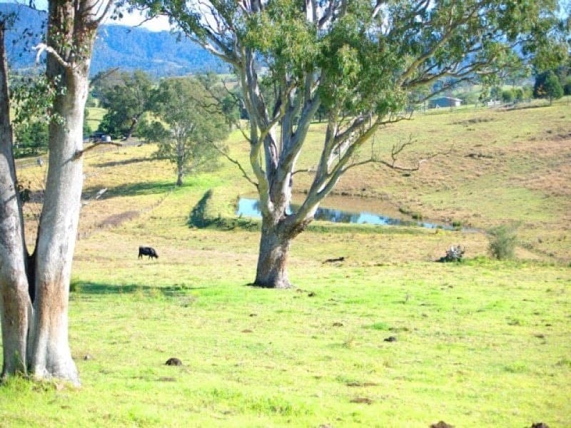 10/ Blackbutt Drive, COBARGO, Cobargo - Thumbnail 3
