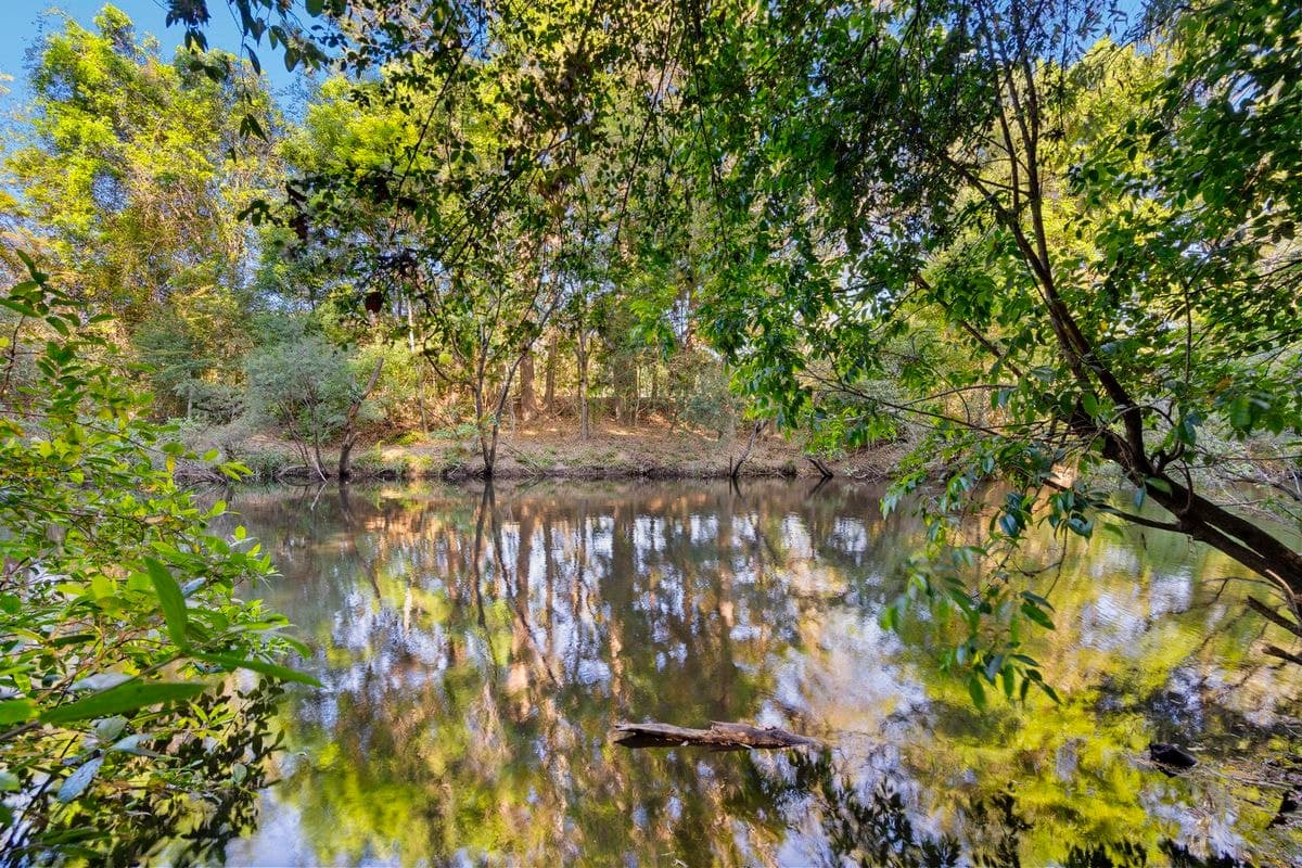 98 GLENMORE DRIVE, Bonogin, Bonogin - Thumbnail 7