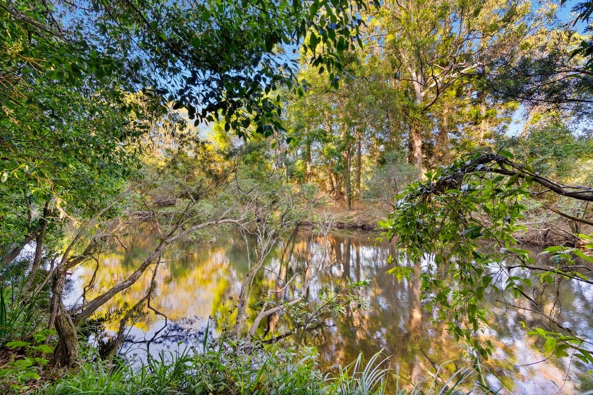98 GLENMORE DRIVE, Bonogin, Bonogin - Thumbnail 8