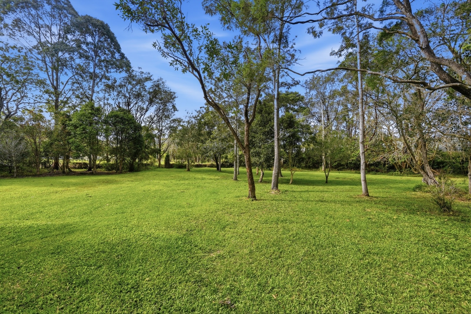 61 Emerald Heights Drive, Emerald Beach, NSW 2456, Emerald Beach - Thumbnail 3
