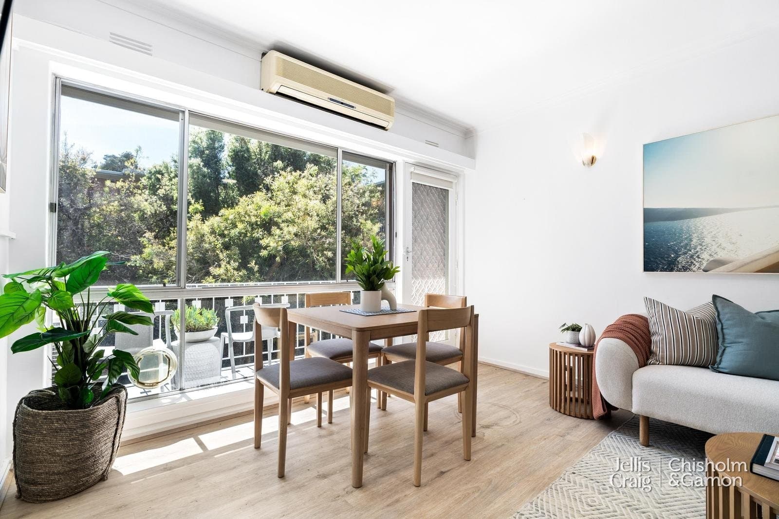 13/21-23 Tiuna Grove, Elwood, Elwood - Thumbnail 4