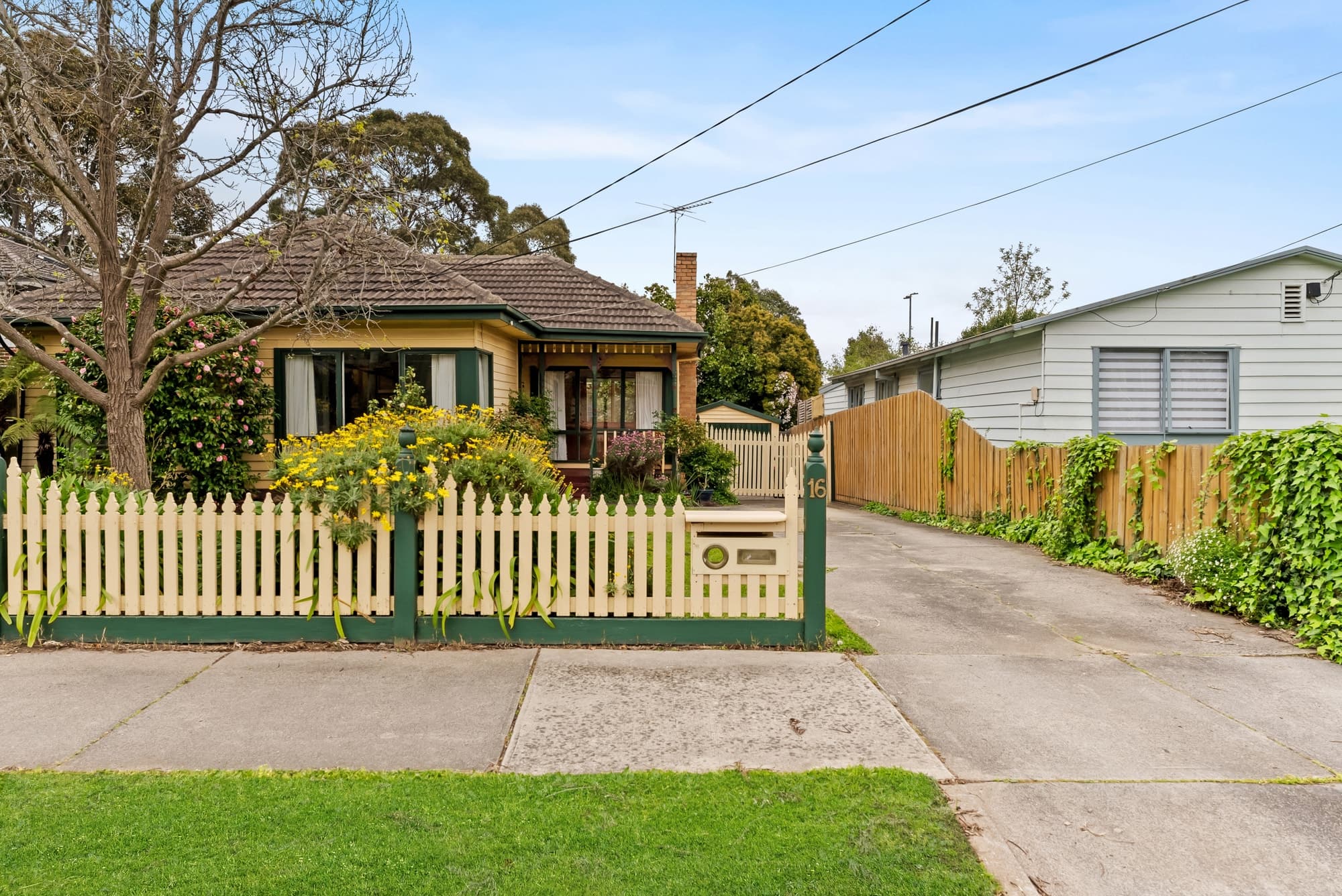 16 Cameron Road, Box Hill North - Thumbnail 2