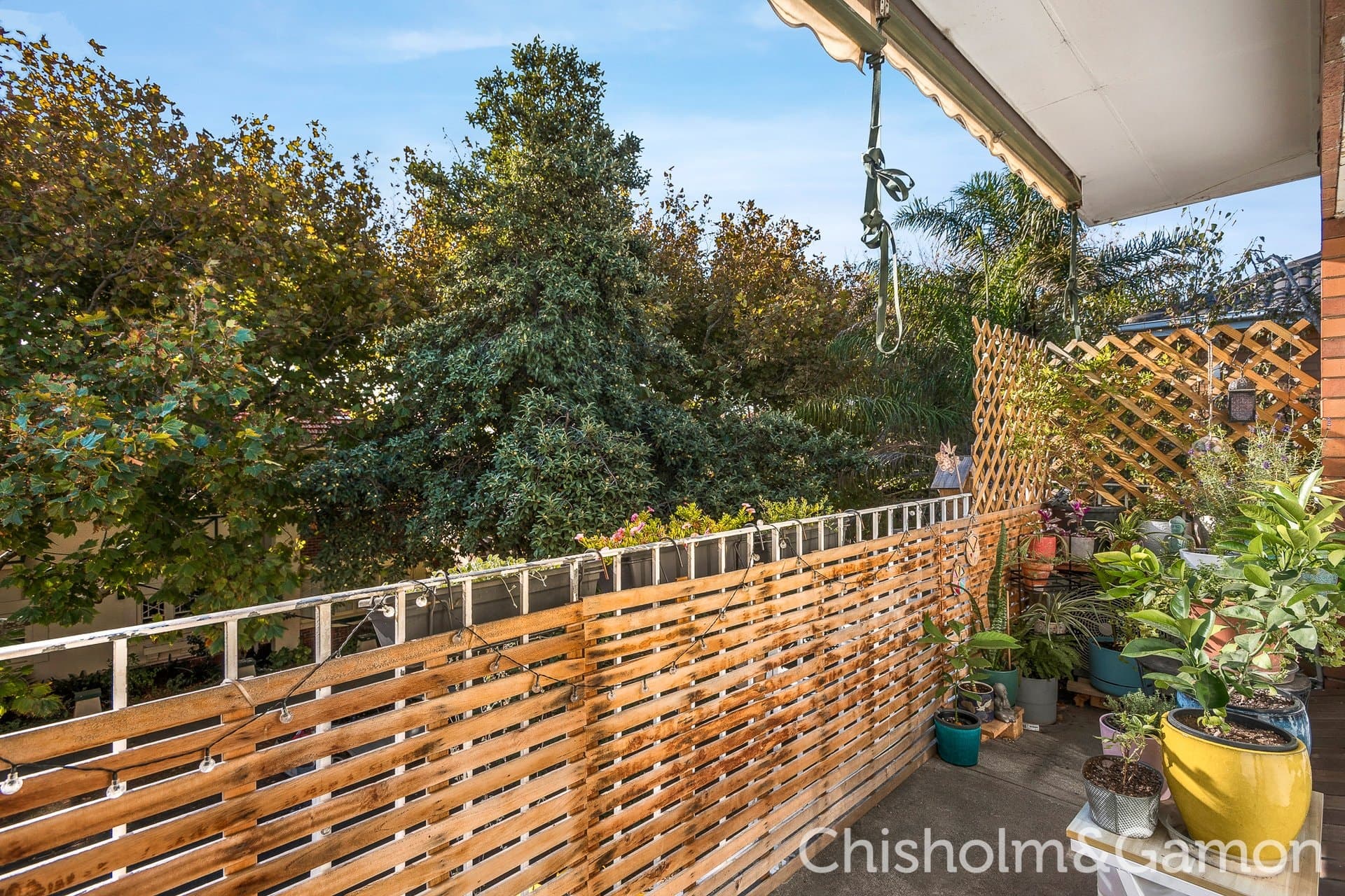4/21-23 Tiuna Grove, Elwood, Elwood - Thumbnail 2