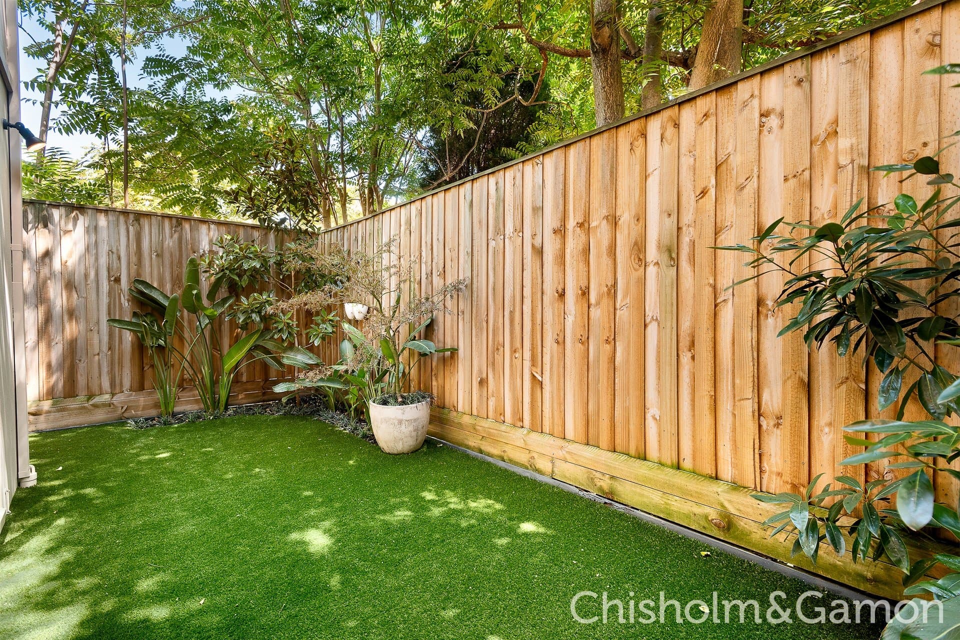 25C Thackeray Street, Elwood, Elwood - Thumbnail 5