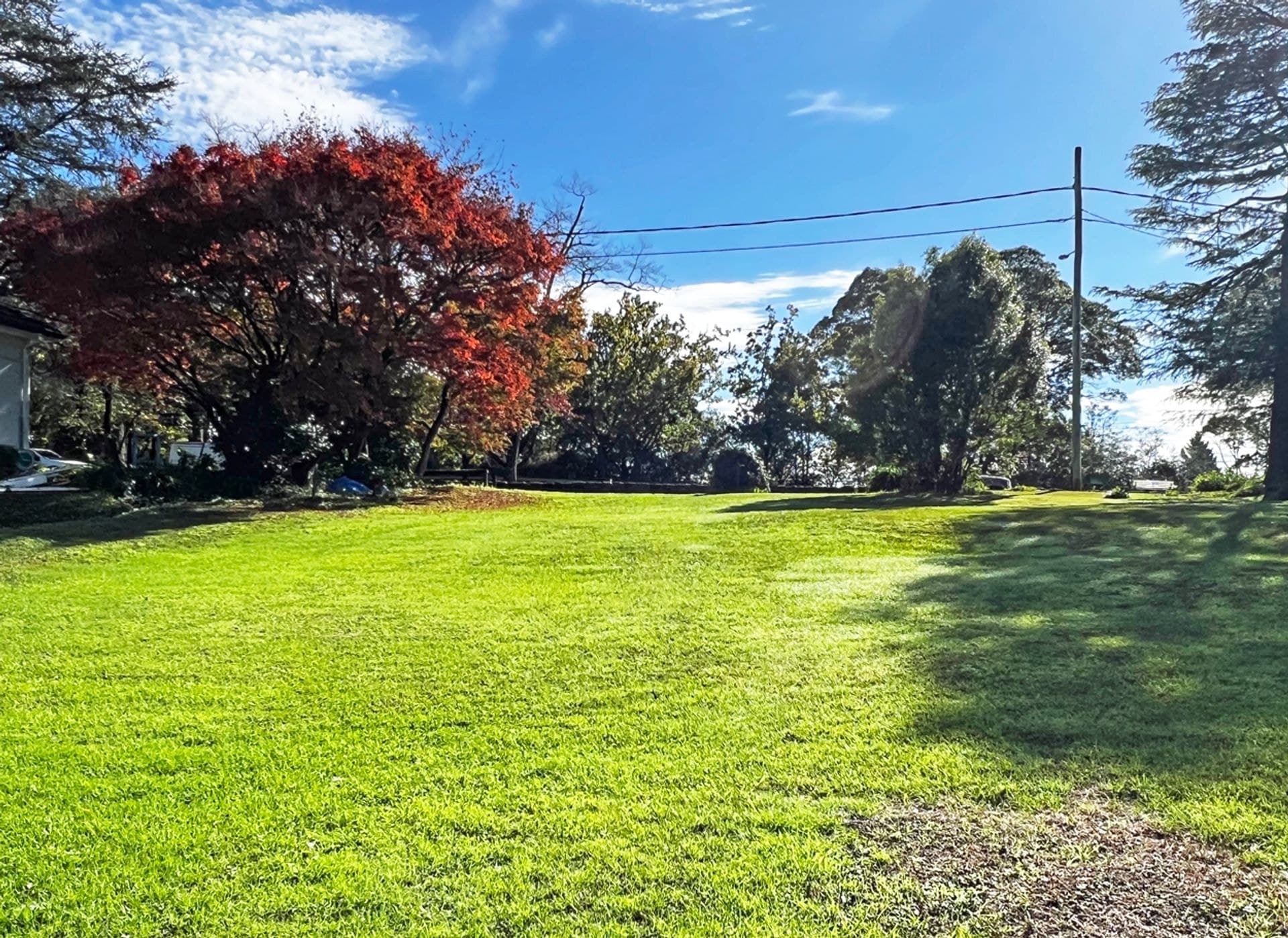 135 Macquarie Road, Springwood, NSW, 2777, Faulconbridge - Image 1