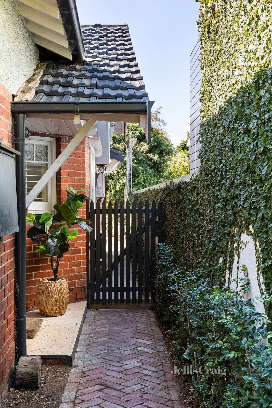 47 Ormond Road, Elwood, Elwood - Thumbnail 3