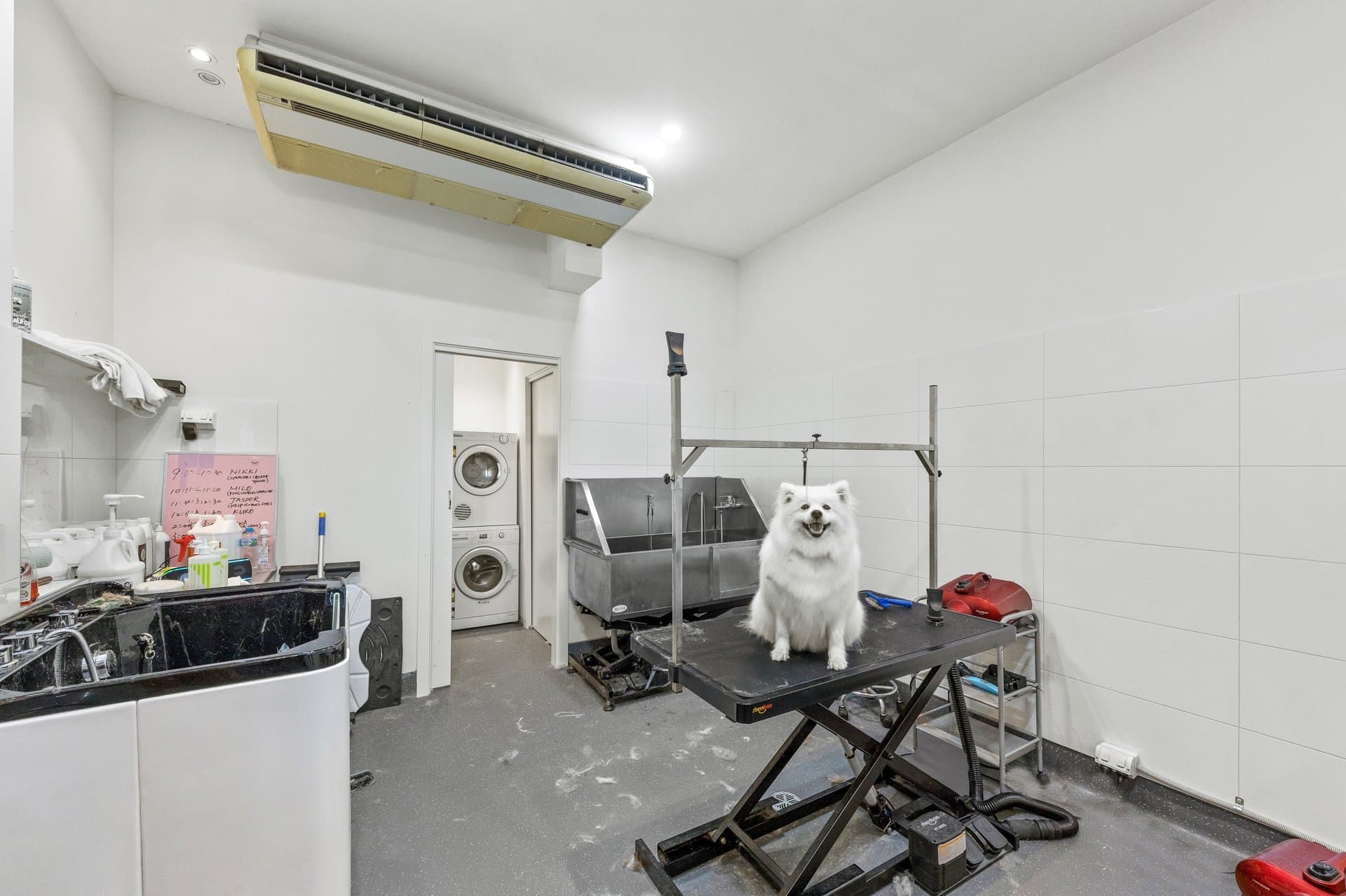 151A Fitzroy Street, St Kilda
    
    
      
        110 m2, St Kilda - Thumbnail 6
