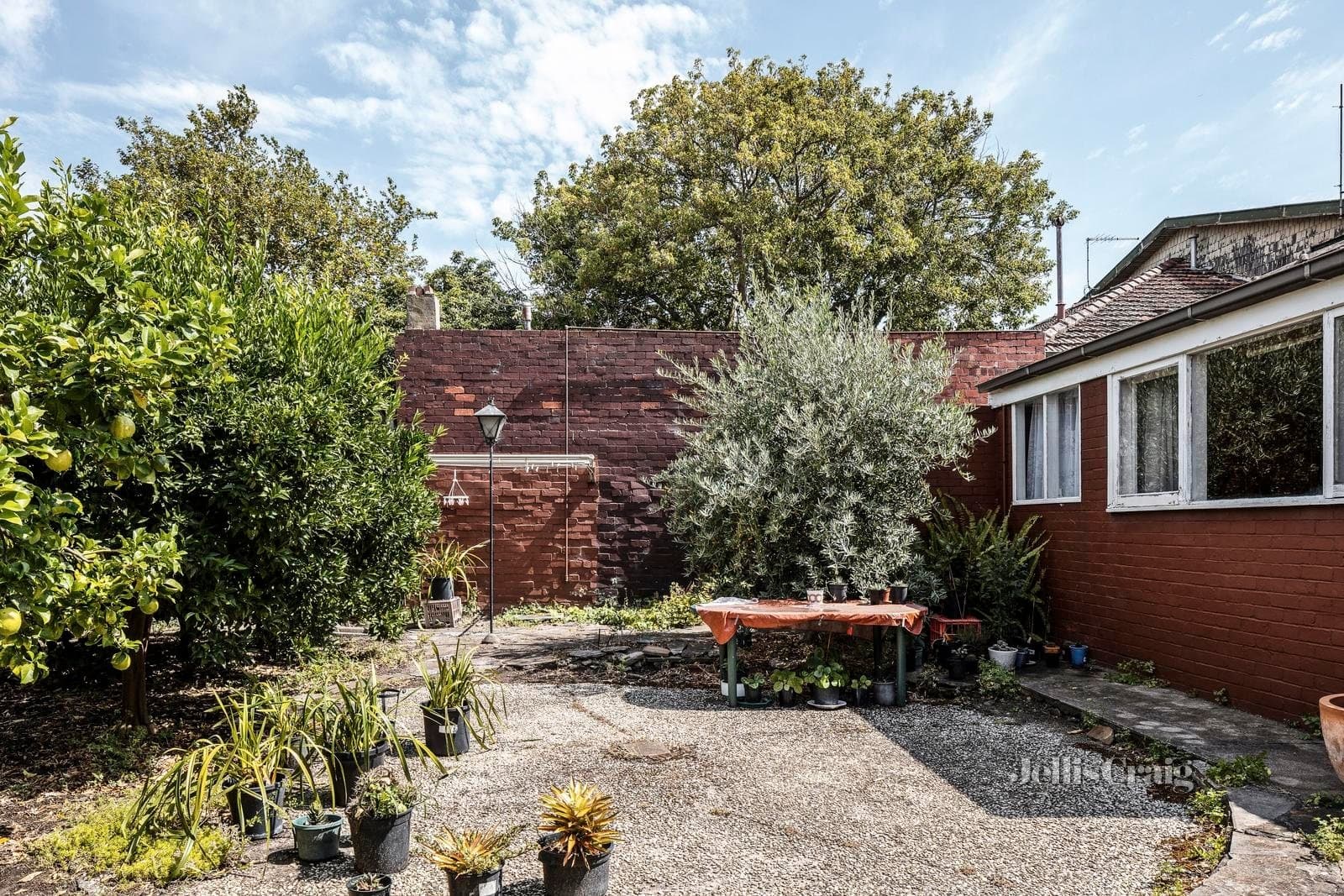 239 Brighton Road, Elwood, Elwood - Image 1