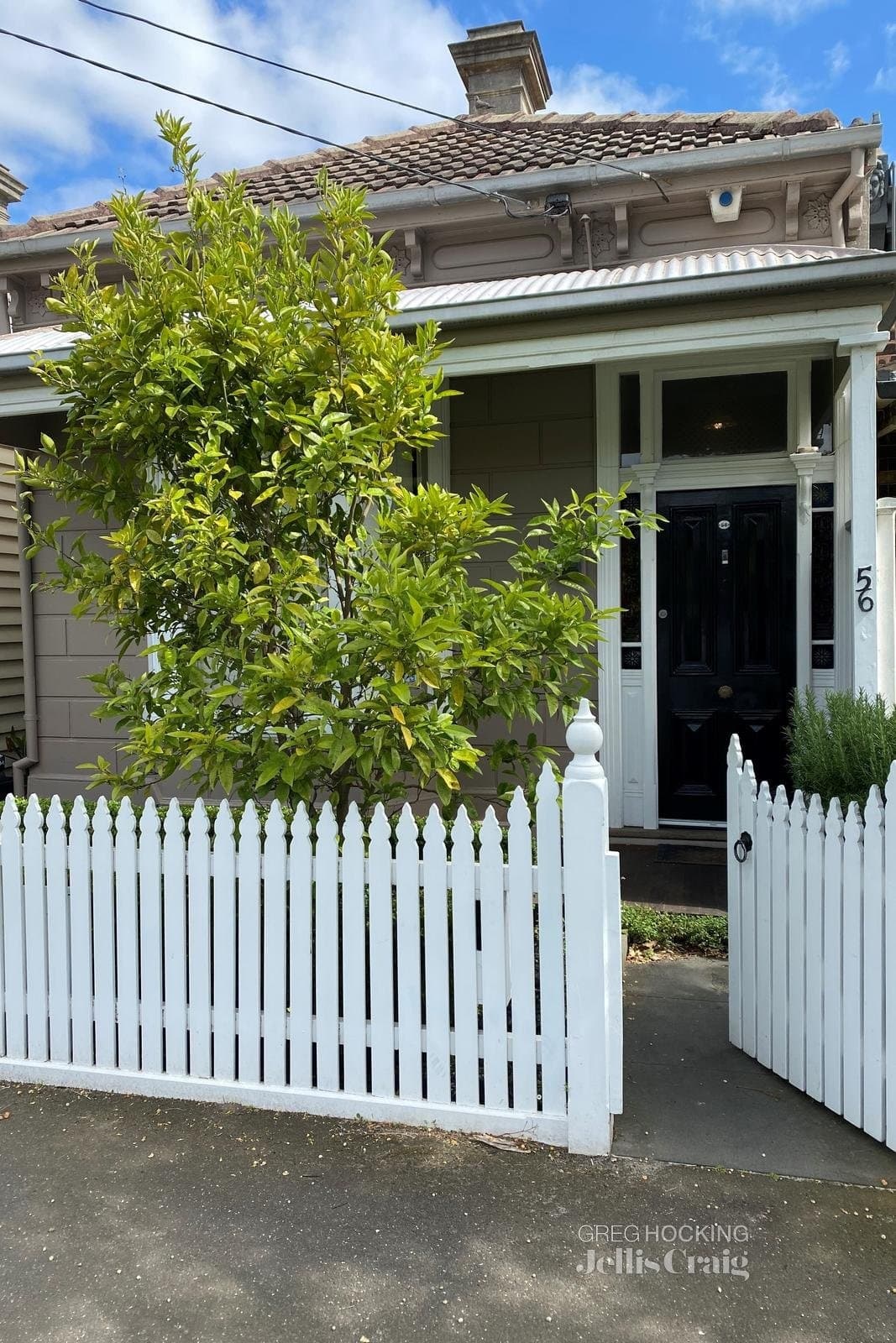 56 Finlay Street, Albert Park, Albert Park - Image 1