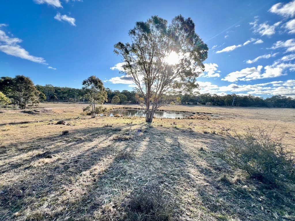 3814 Oallen Ford Road, Windellama, NSW, 2580, Windellama - Thumbnail 2
