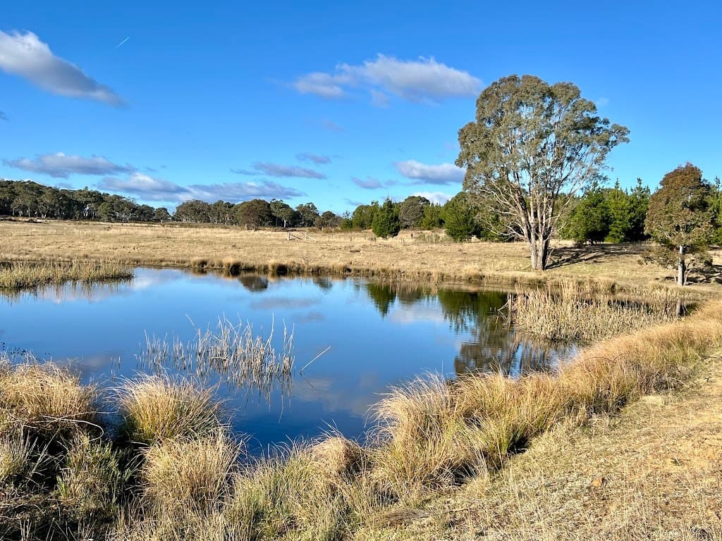 3814 Oallen Ford Road, Windellama, NSW, 2580, Windellama - Thumbnail 4