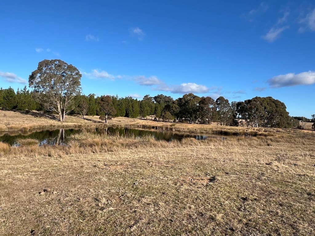 3814 Oallen Ford Road, Windellama, NSW, 2580, Windellama - Thumbnail 6
