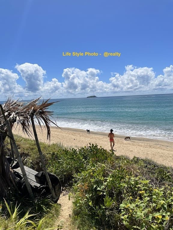 8 Sapphire Crescent, Sapphire Beach, NSW, 2450, Sapphire Beach - Thumbnail 2