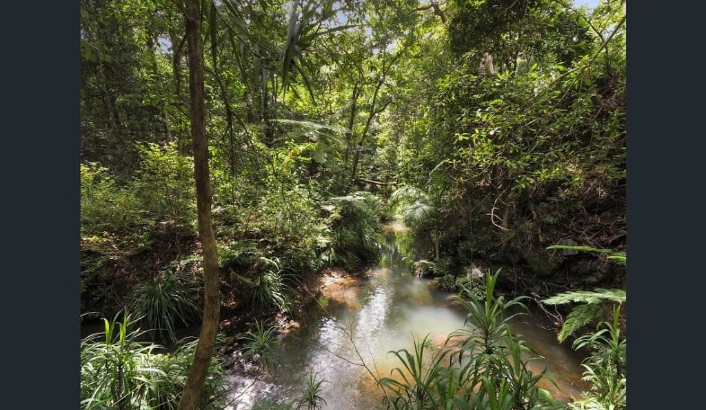 8 Sapphire Crescent, Sapphire Beach, NSW, 2450, Sapphire Beach - Thumbnail 7