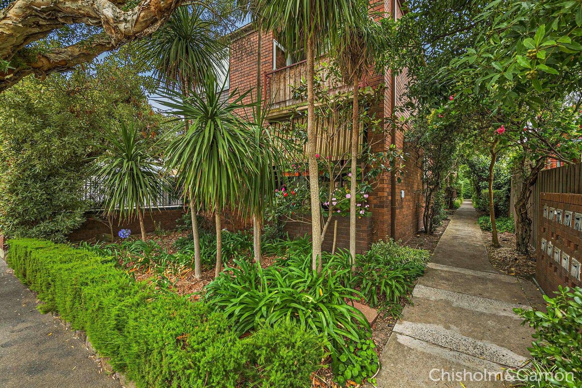 11/3 Browning Street, Elwood, Elwood - Thumbnail 2
