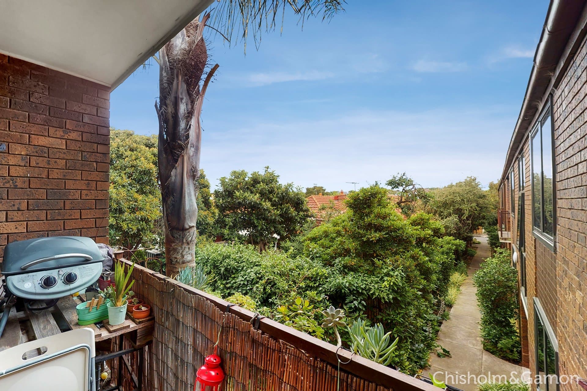 11/3 Browning Street, Elwood, Elwood - Thumbnail 6