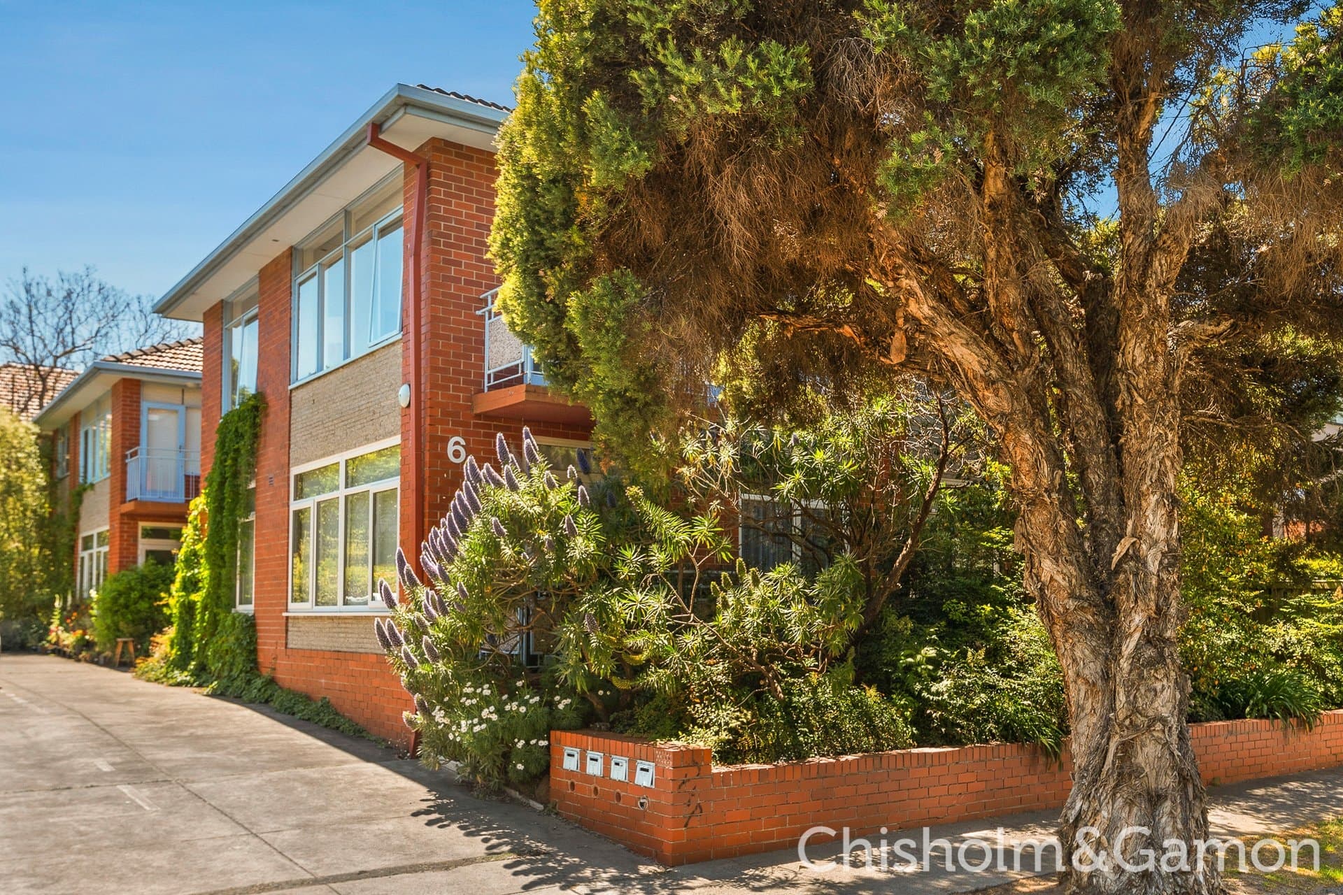 3/6 John Street, Elwood, Elwood - Thumbnail 3