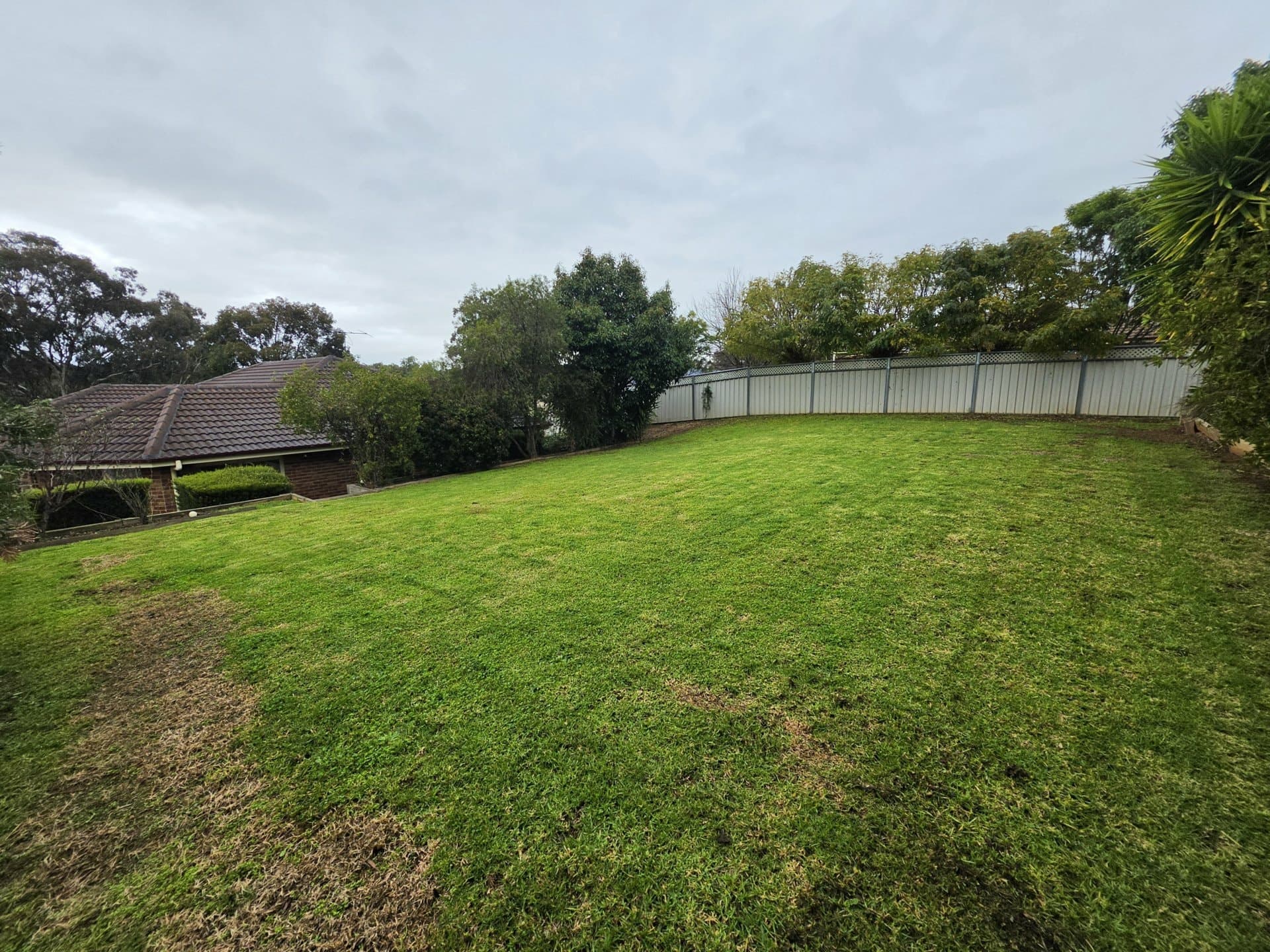 49 Petticoat Lane Young NSW, Young - Thumbnail 8