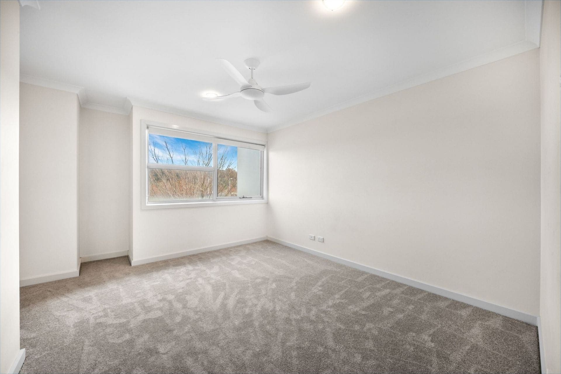 13 Narden Street, Crace, Crace - Thumbnail 6
