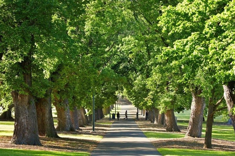 706/505 St Kilda Rd, Melbourne - Thumbnail 2