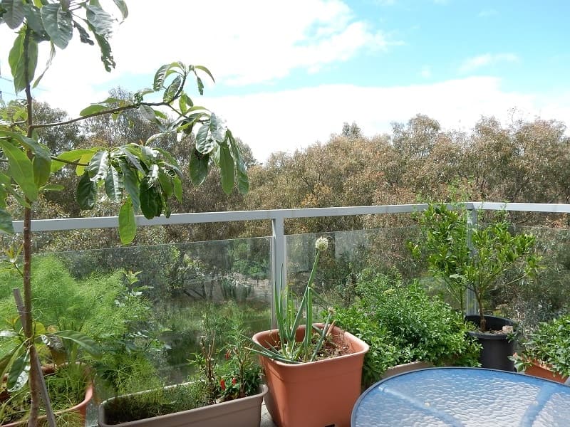 05/42-44 Harrison St, Brunswick East - Image 1