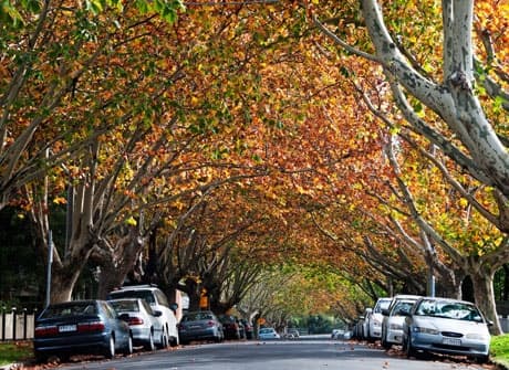 Flemington VIC 3031, Flemington - Thumbnail 2