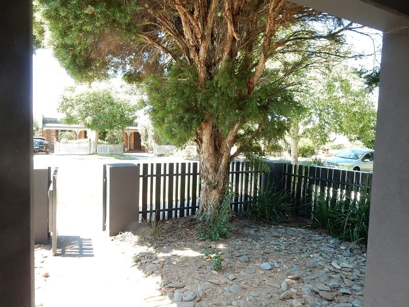 4/208 Arthur St, Fairfield - Thumbnail 3