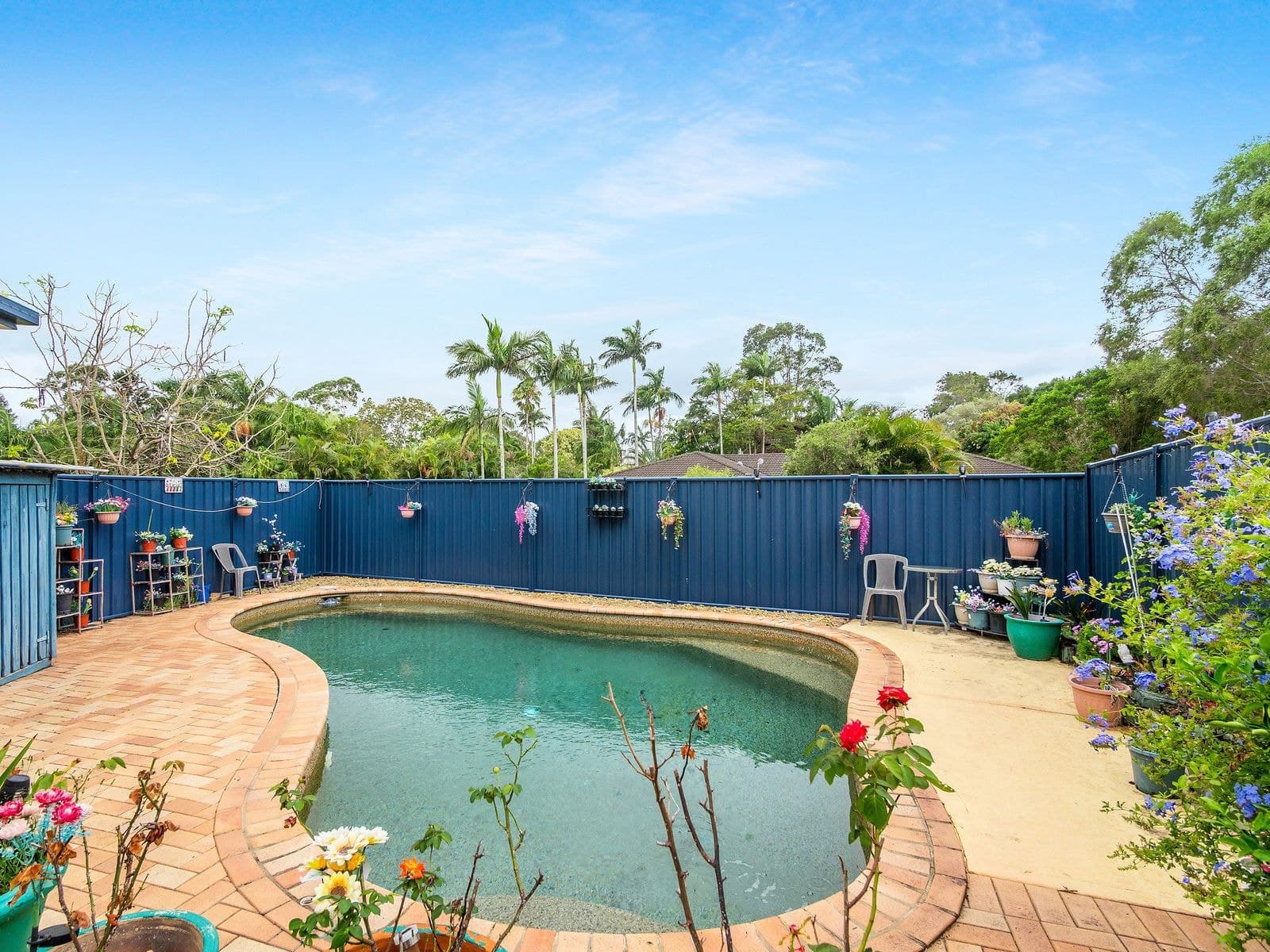 7 Narrogal Court, Ocean Shores, NSW, Ocean Shores - Thumbnail 3