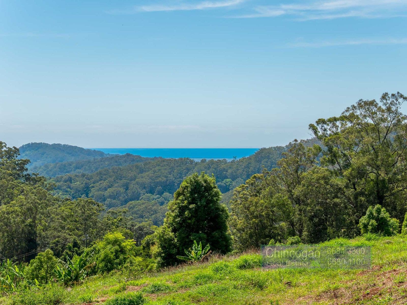 134 Snake Gully Road, Upper Burringbar, NSW, Upper Burringbar - Thumbnail 4
