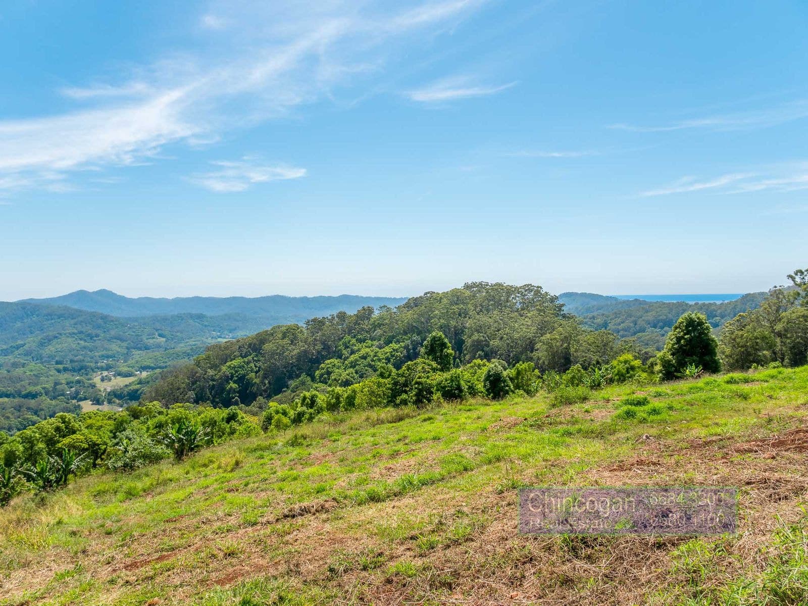 134 Snake Gully Road, Upper Burringbar, NSW, Upper Burringbar - Thumbnail 5